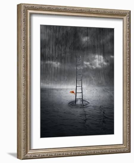 Climb Up-ValentinaPhotos-Framed Art Print