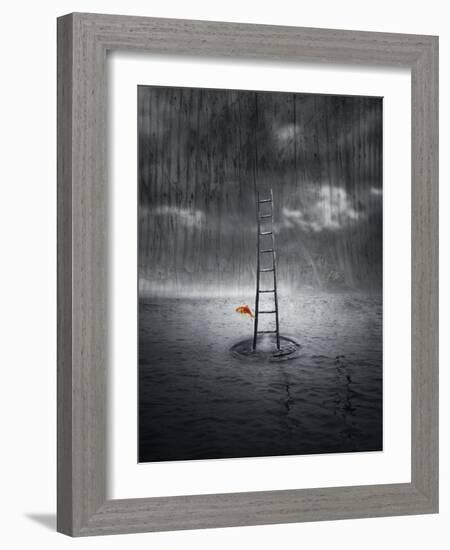 Climb Up-ValentinaPhotos-Framed Art Print