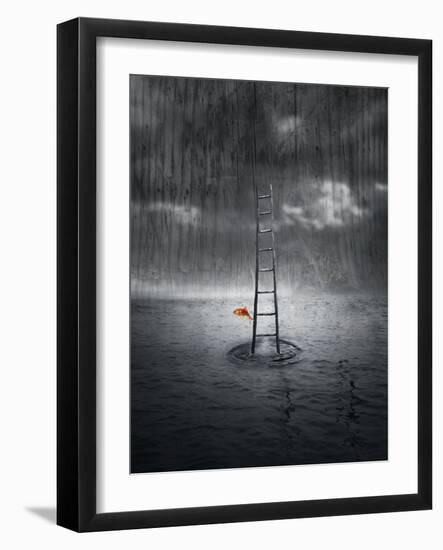 Climb Up-ValentinaPhotos-Framed Art Print