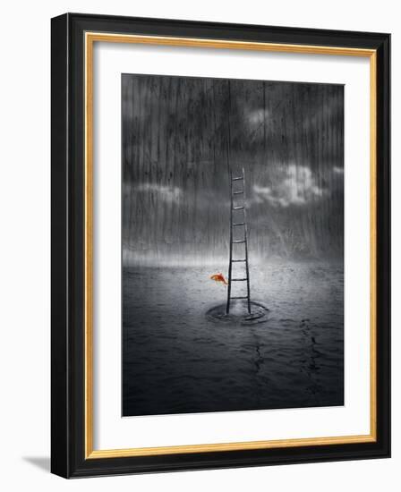 Climb Up-ValentinaPhotos-Framed Art Print