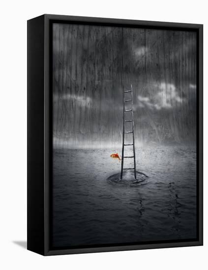 Climb Up-ValentinaPhotos-Framed Stretched Canvas