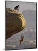 Climber Dangling-null-Mounted Photographic Print