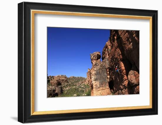 Climber on cliffs in the Cederberg mountains, Western Cape, South Africa, Africa-David Pickford-Framed Photographic Print