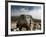 Climber Tackles a Difficult Boulder Problem on the Glacial Moraine at Tangnag-David Pickford-Framed Photographic Print