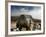 Climber Tackles a Difficult Boulder Problem on the Glacial Moraine at Tangnag-David Pickford-Framed Photographic Print