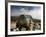 Climber Tackles a Difficult Boulder Problem on the Glacial Moraine at Tangnag-David Pickford-Framed Photographic Print