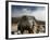 Climber Tackles a Difficult Boulder Problem on the Glacial Moraine at Tangnag-David Pickford-Framed Photographic Print