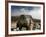 Climber Tackles a Difficult Boulder Problem on the Glacial Moraine at Tangnag-David Pickford-Framed Photographic Print