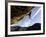 Climber Tackles Difficult Route on Overhang at the Cliffs of Margalef, Catalunya-David Pickford-Framed Photographic Print