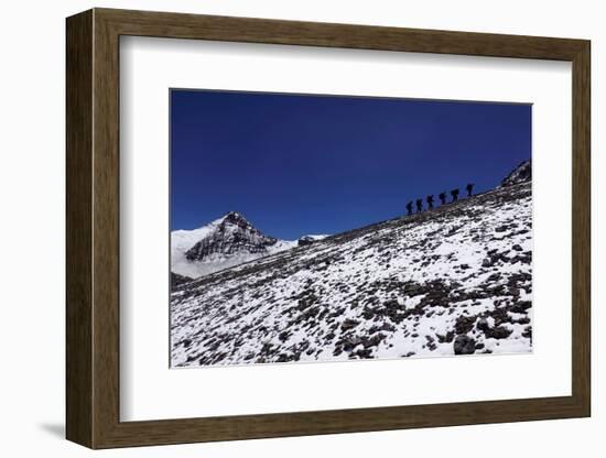 Climbers ascending Aconcagua, the highest mountain in the Americas and one of the Seven Summits-David Pickford-Framed Photographic Print