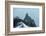 Climbers Descending from Aiguille Du Midi, Chamonix, Rhone Alpes, Haute Savoie, France, Europe-Christian Kober-Framed Photographic Print