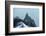 Climbers Descending from Aiguille Du Midi, Chamonix, Rhone Alpes, Haute Savoie, France, Europe-Christian Kober-Framed Photographic Print