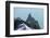 Climbers Descending from Aiguille Du Midi, Chamonix, Rhone Alpes, Haute Savoie, France, Europe-Christian Kober-Framed Photographic Print