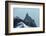Climbers Descending from Aiguille Du Midi, Chamonix, Rhone Alpes, Haute Savoie, France, Europe-Christian Kober-Framed Photographic Print