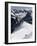 Climbers on Mont Blanc, Aiguille Du Midi, Mont Blanc Massif, Haute Savoie, French Alps, France, Eur-Angelo Cavalli-Framed Photographic Print