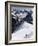 Climbers on Mont Blanc, Aiguille Du Midi, Mont Blanc Massif, Haute Savoie, French Alps, France, Eur-Angelo Cavalli-Framed Photographic Print