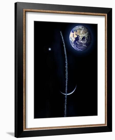 Clin D'Oeil-Philippe Sainte-Laudy-Framed Photographic Print