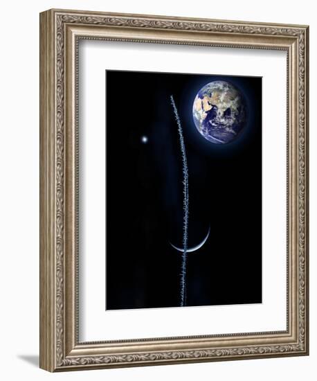 Clin D'Oeil-Philippe Sainte-Laudy-Framed Premium Photographic Print