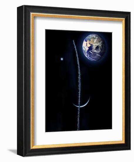 Clin D'Oeil-Philippe Sainte-Laudy-Framed Premium Photographic Print