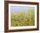 Clinging Vines-Allan Friedlander-Framed Art Print