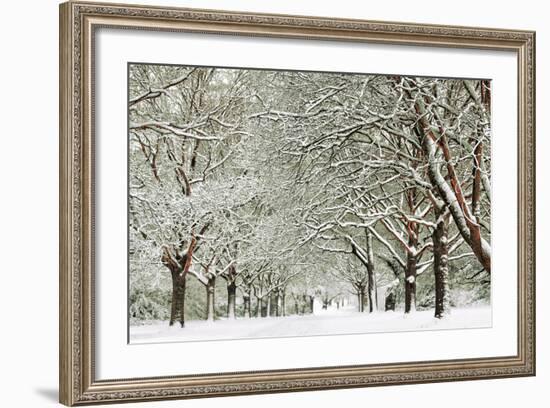 Clinging-David Baker-Framed Photographic Print