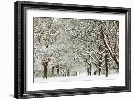 Clinging-David Baker-Framed Photographic Print