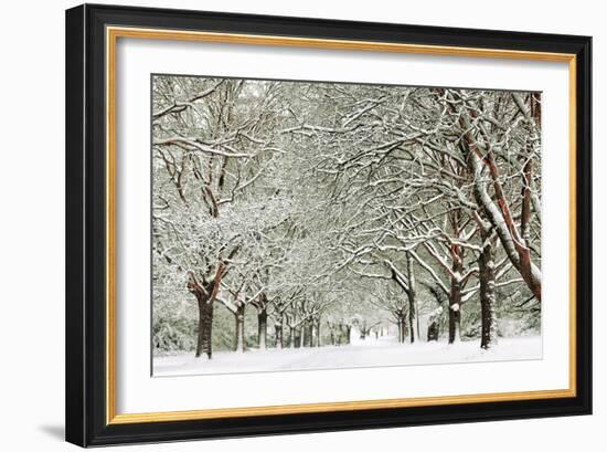 Clinging-David Baker-Framed Photographic Print