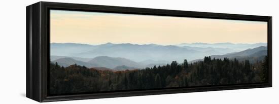 Clingmans Dome panorama, Smoky Mountains National Park, Tennessee, USA-Anna Miller-Framed Premier Image Canvas