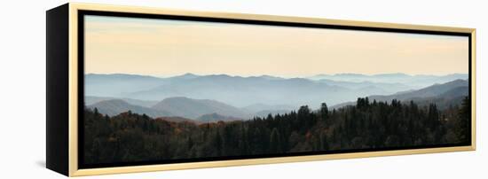 Clingmans Dome panorama, Smoky Mountains National Park, Tennessee, USA-Anna Miller-Framed Premier Image Canvas