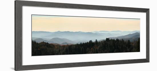 Clingmans Dome panorama, Smoky Mountains National Park, Tennessee, USA-Anna Miller-Framed Photographic Print