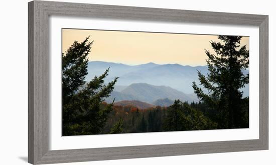 Clingmans Dome panorama, Smoky Mountains National Park, Tennessee, USA-Anna Miller-Framed Photographic Print