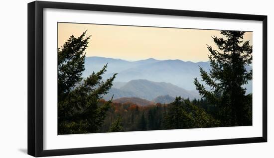 Clingmans Dome panorama, Smoky Mountains National Park, Tennessee, USA-Anna Miller-Framed Photographic Print