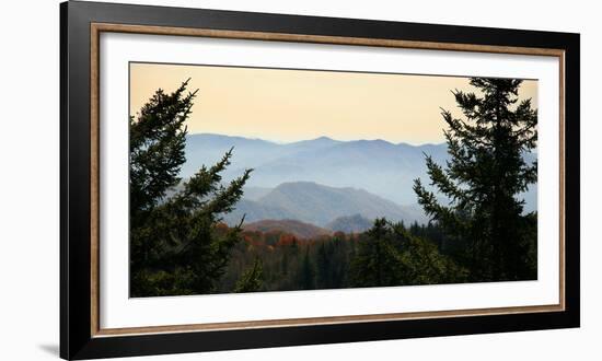 Clingmans Dome panorama, Smoky Mountains National Park, Tennessee, USA-Anna Miller-Framed Photographic Print