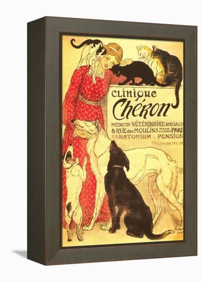 Clinique Cheron, Vet-null-Framed Stretched Canvas