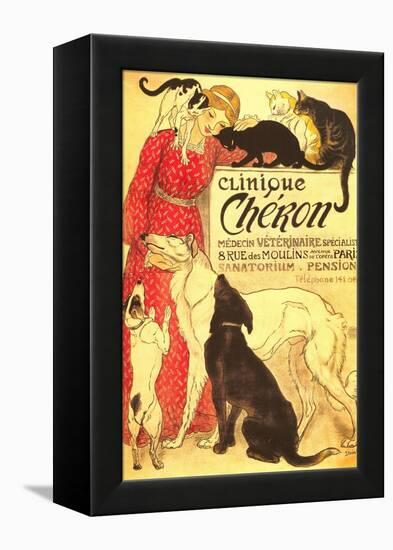 Clinique Cheron, Vet-null-Framed Stretched Canvas