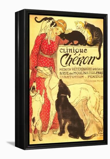 Clinique Cheron, Vet-null-Framed Stretched Canvas