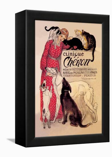 Clinique Cheron, Veterinary Medicine and Hotel-Théophile Alexandre Steinlen-Framed Stretched Canvas