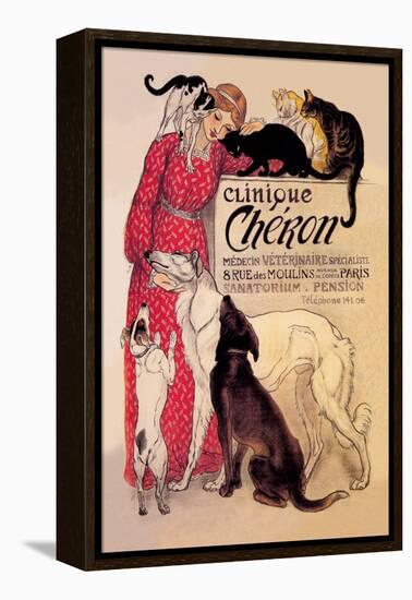 Clinique Cheron, Veterinary Medicine and Hotel-Théophile Alexandre Steinlen-Framed Stretched Canvas