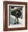 Clint Eastwood - Dirty Harry-null-Framed Photo