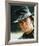 Clint Eastwood-null-Framed Photo