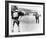 Clint Eastwood-null-Framed Photo