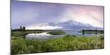 Photographic Print