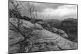 Photographic Print