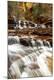 Photographic Print