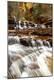 Photographic Print