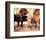 Clint Walker - Cheyenne-null-Framed Photo