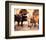 Clint Walker - Cheyenne-null-Framed Photo