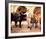 Clint Walker - Cheyenne-null-Framed Photo