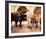 Clint Walker - Cheyenne-null-Framed Photo