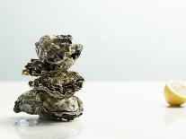 Tower of Oysters-Clinton Hussey-Mounted Photographic Print